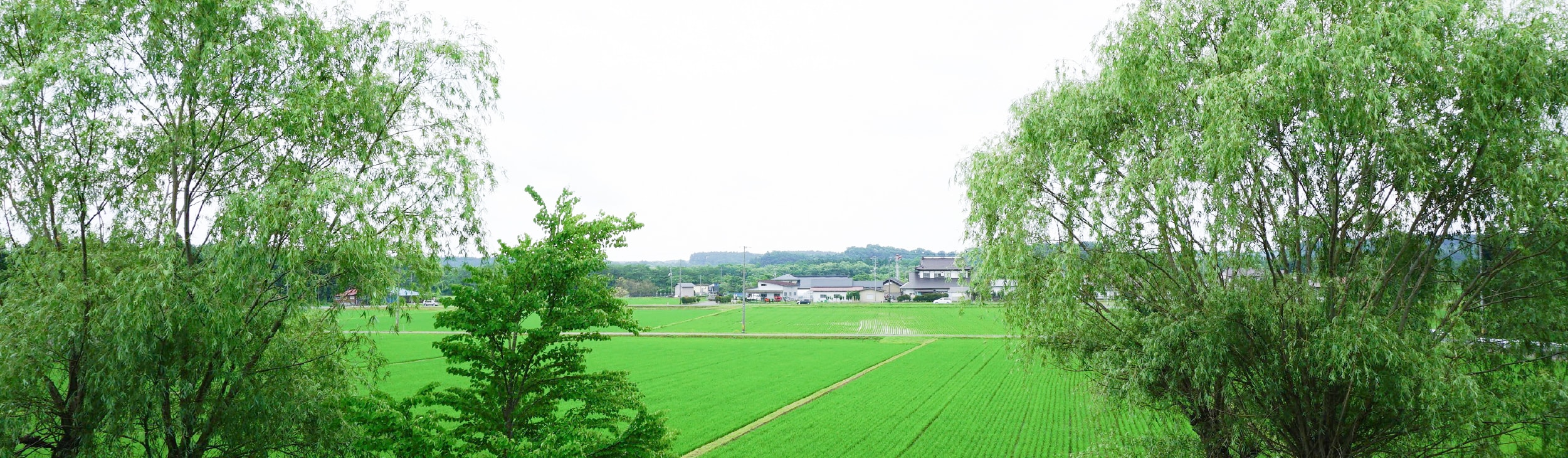 UTOメルマガ会員のご登録