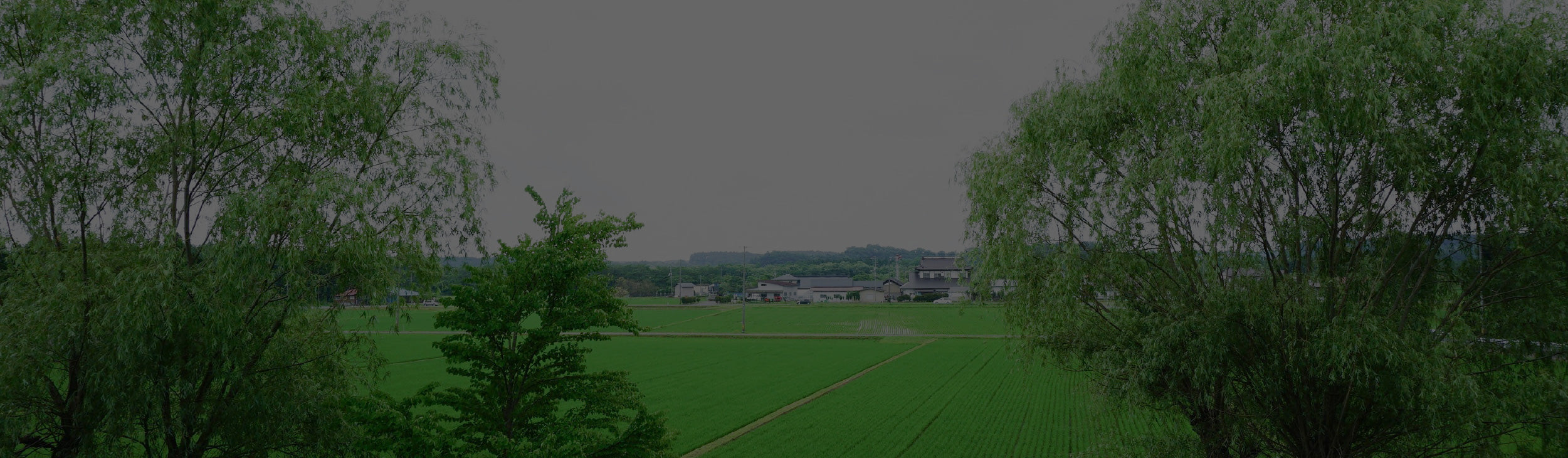 日本製高級カシミヤニット専門店|UTOオンラインショップ 日本製高級カシミヤニット専門店|UTOオンラインショップ